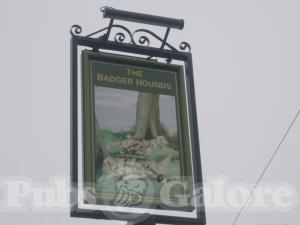Picture of The Badger Hounds