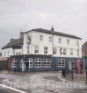 Picture of The Hoptimist