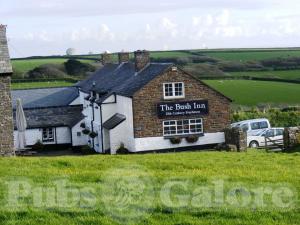 Picture of The Bush Inn