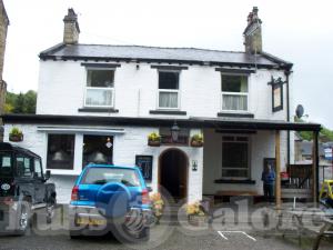 Picture of The Swan