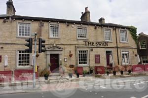 Picture of The Swan