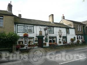 Picture of Old White Bear