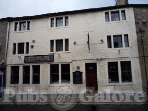 Picture of The Red Pig