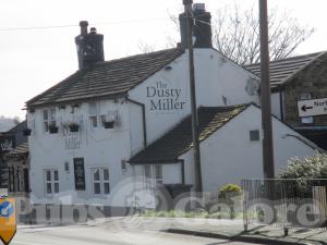 Picture of The Dusty Miller