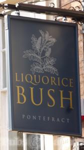 Picture of Liquorice Bush