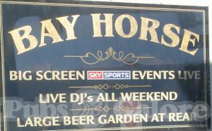Picture of Bay Horse