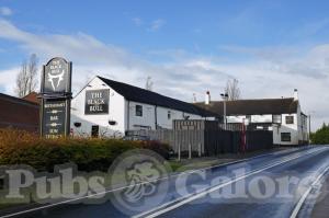 Picture of The Black Bull