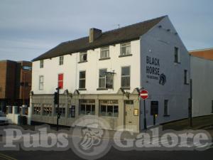 Picture of Black Horse