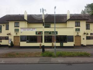 Picture of The Fortune