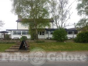 Picture of The Kingfisher