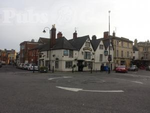 Picture of White Bear