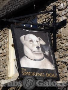 Picture of The Smoking Dog