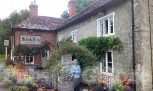 Picture of Black Dog Inn