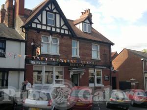 Picture of Red Lion