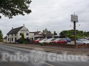 Picture of Ewe & Lamb