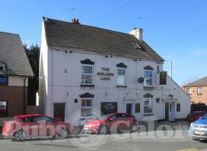 Picture of The Golden Lion