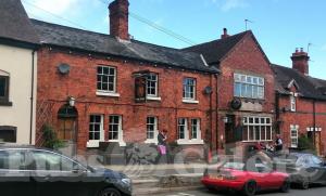 Picture of The Old Lion