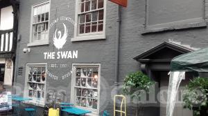 Picture of Swan with Two Nicks