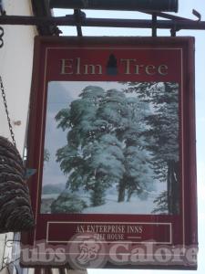 Picture of Elm Tree