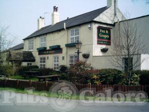 Picture of The Fox & Grapes