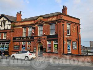 Picture of Fox & Newt