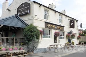 Picture of Gaping Goose Inn