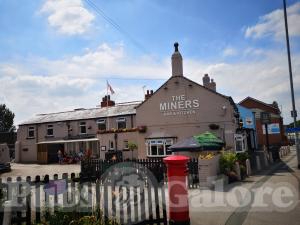 Picture of The Miners