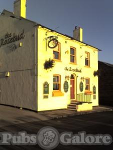 Picture of Rose Bud Inn