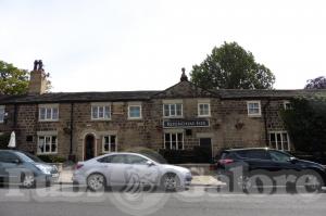 Picture of The Roundhay Fox