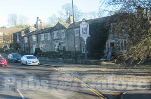 Picture of The Roundhay Fox