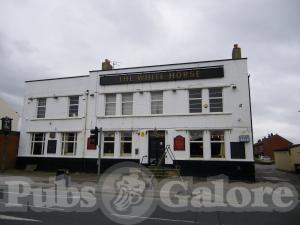 Picture of The White Horse