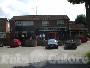 Picture of Horse & Groom