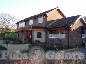 Picture of Horse & Groom