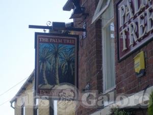 Picture of The Palm Tree
