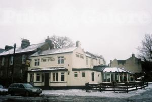 Picture of The Stag's Head
