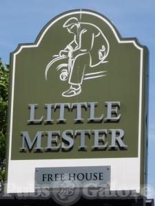 Picture of Little Mester