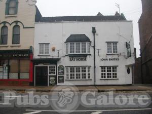 Picture of Bay Horse