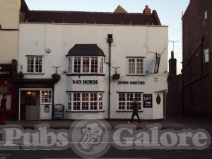 Picture of Bay Horse