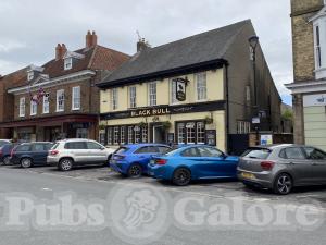 Picture of Black Bull