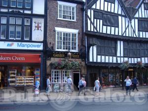 Picture of Golden Fleece