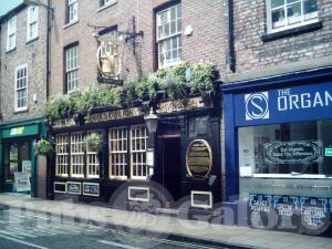 Picture of The Golden Lion