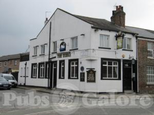Picture of The Swan