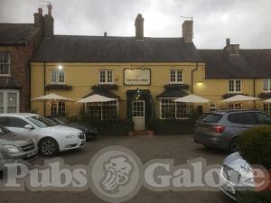 Picture of The Wild Swan