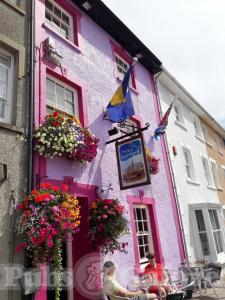 Picture of The Cadwgan Inn