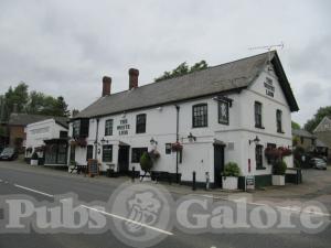Picture of The White Lion