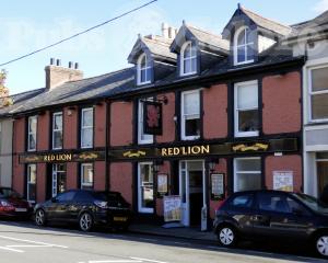 Picture of Red Lion
