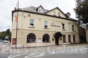 Picture of Beech Tree Hotel
