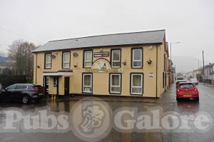 Picture of Paddys Goose Inn