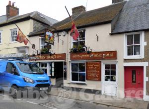 Picture of Turks Head