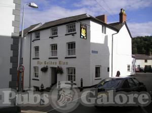 Picture of The Golden Lion